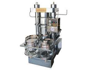 automatic small oil press machine stainless steel cold hot presser 