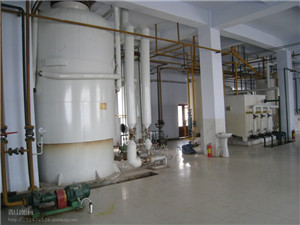 made in china supercritical co2 neem oil extraction