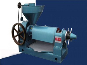 professional mini mustard oil mill with low price