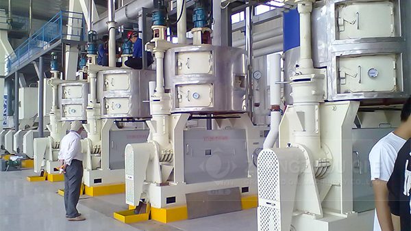 Coconut Oil Production Line