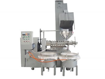 6YL-125 Black Seed Oil Cold Screw Oil Press Machine