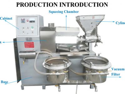 Mustard Oil Press Machine for High Quality Cooking Oil