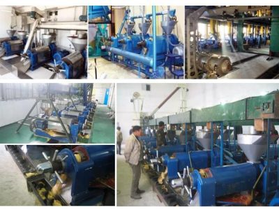 Mini Mustard Oil Plant Built in India