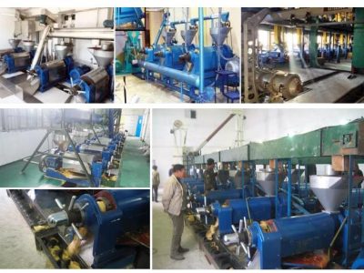 15 TPD Sunflower Oil Extracting Machine Setup In Zambia