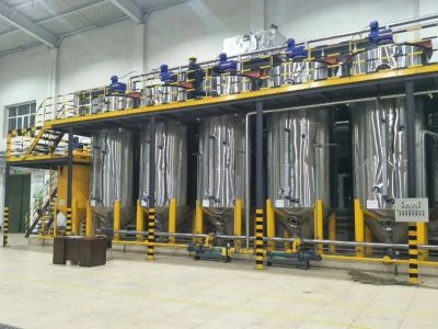 20TPD palm kernel oil refining line In nigeria
