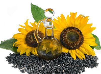 How to start a sunflower oil manufacturing business